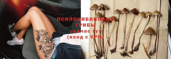 ПСИЛОЦИБИНОВЫЕ ГРИБЫ Баксан