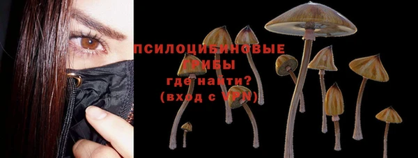 ПСИЛОЦИБИНОВЫЕ ГРИБЫ Баксан