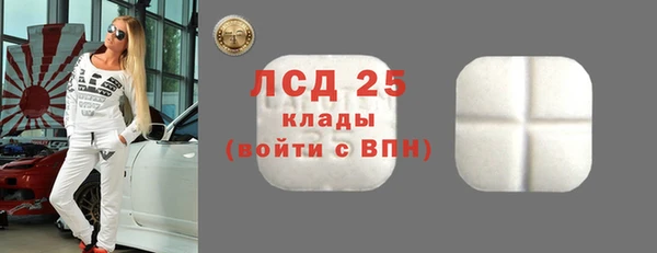 ПСИЛОЦИБИНОВЫЕ ГРИБЫ Баксан