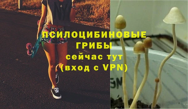 ПСИЛОЦИБИНОВЫЕ ГРИБЫ Баксан