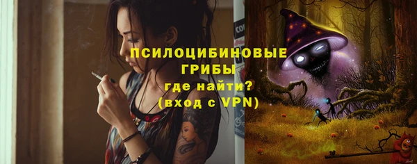 ПСИЛОЦИБИНОВЫЕ ГРИБЫ Баксан