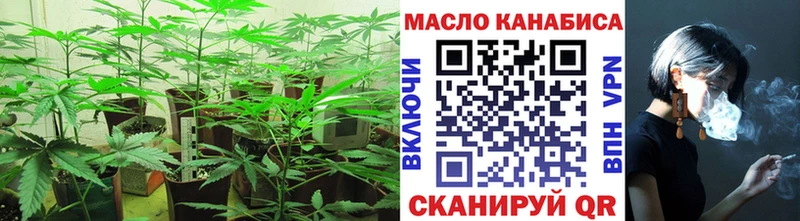 ТГК вейп  Купить где  Зеленоградск 