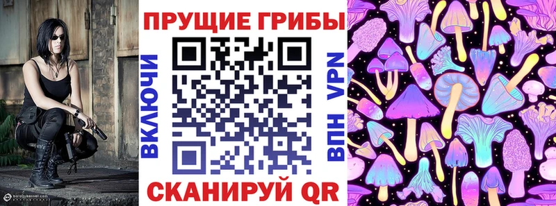 Купить закладки  Зеленоградск  Галлюциногенные грибы Cubensis 