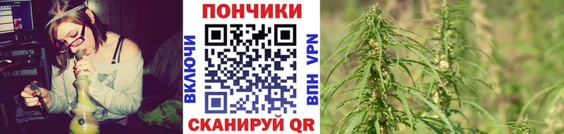 Шишки марихуана OG Kush  Купить  Зеленоградск 